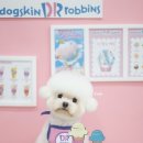 퍼피포유 이미지