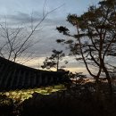 도리사 - 1026 | [경북 구미 가볼만한곳 | 새해 일출 명소, 도리사 해맞이 후기 (+주차 꿀팁)]