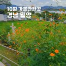 성지1리 | 경남 밀양 가볼만한곳 3곳 10월 국내여행지