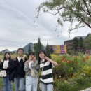 구루미술학원