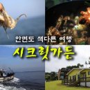 시크릿 가든펜션 이미지