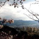 장복산길 이미지