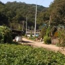 다옴축산 - 창원시 진해구 진해대로901번길 14 | 다옴축산