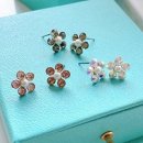 크리스탈 이미지