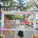 대릉원 | 경주 대릉원돌담길 상생마켓 후기 10월 마지막 주말 즐길거리