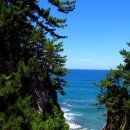 추암~증산해변 이미지