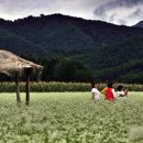 농촌전통테마마을 이미지