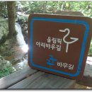 조고봉 가는 길 이미지