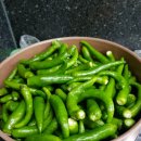 여리농장 이미지