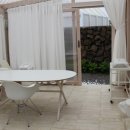 스테이 아담 이미지