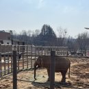 전주동물원 이미지