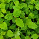 정금농장 이미지