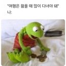 ㅠㅠ