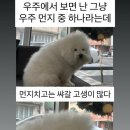 뽀글파마