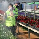 백양산 양묘장 이미지