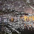 삼포선착장 이미지