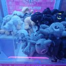 킹덤오락실 이미지