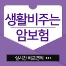 최신 비갱신형 암보험 비교상품 및 암보험 어디가 좋은가요? 이미지