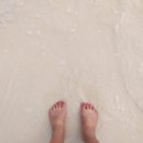 사보이호텔 이미지