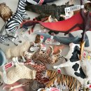 백조농장(2) 이미지