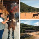 신갈LPG충전소 이미지