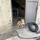 목포네모
