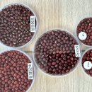 명품산업 이미지