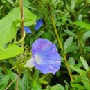 단위농협사거리(공원앞) 이미지