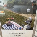 농업회사법인(주)힐링시스템 | [내돈내산] 장성 신상카페 온다인 솔직후기 🧺 (방문 전 꼭 알아야 할 꿀팁 3가지)