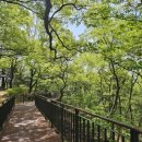 꽃동네어린이공원 이미지