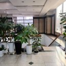 화이트 | ✨송파 가락동 [시즌온뷰티] 겨울 시럽 화이트 페디 후기