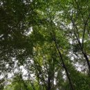 자유공원 게이트볼장 이미지