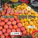 11650-11-65-1 | 나트랑 65번 과일가게 망고가격 망고후기