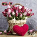 [ 색소폰연주] 임유리 - 갈무리 ( Burden Saxophone) 이미지