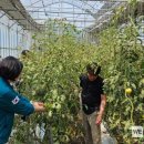 대동면행정복지센터 이미지