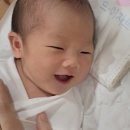 푸룸 네이버블로그