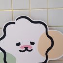 다다펫스파 이미지