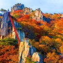 대둔산로(2) 이미지