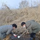 양평군보건소 이미지