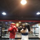 서초권투체육관 이미지