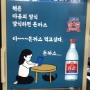 창원탕 | 창원 냉모밀맛집 탐진강 면사무소 돈까스도 맛있어