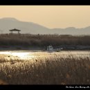 순천만풍경 이미지