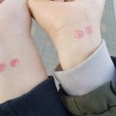 주정차단속-105 이미지