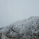 제일공구철물상사 이미지