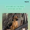 역전자동차 이미지