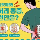 허리 근육통 찜질 or 통증약 허리 아플때 운동 꾸준하게 이미지