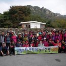 산수정 이미지