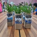 다비농장 이미지