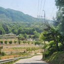 룰루랄라 펫드라이브 이미지