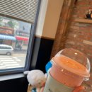 샤르망 커피(charmant coffee)